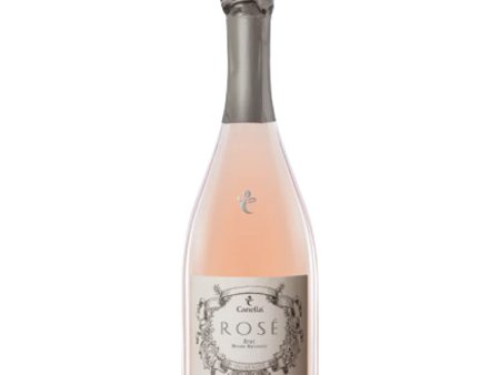 CANELLA ROSE  PROSECCO (20cl) x 24 Online Hot Sale