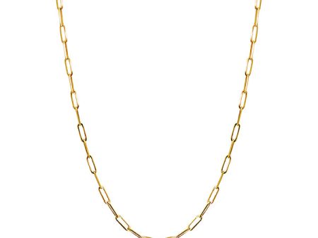 Fashion Necklace Chain For Discount