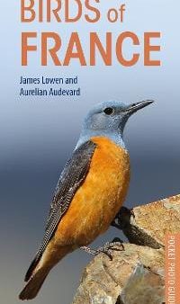 James Lowen: Birds of France [2018] paperback For Cheap