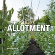 Press Absolute: The Little Book of Allotment Tips [2018] hardback Online Sale