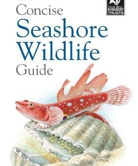 Bloombury: Concise Seashore Wildlife Guide [2019] paperback Supply