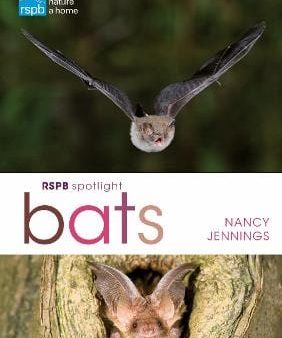 Bloomsbury: RSPB Spotlight Bats [2018] paperback Online Sale